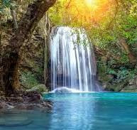 Health Freq. Package #5 with RAIN only (20 minutes)