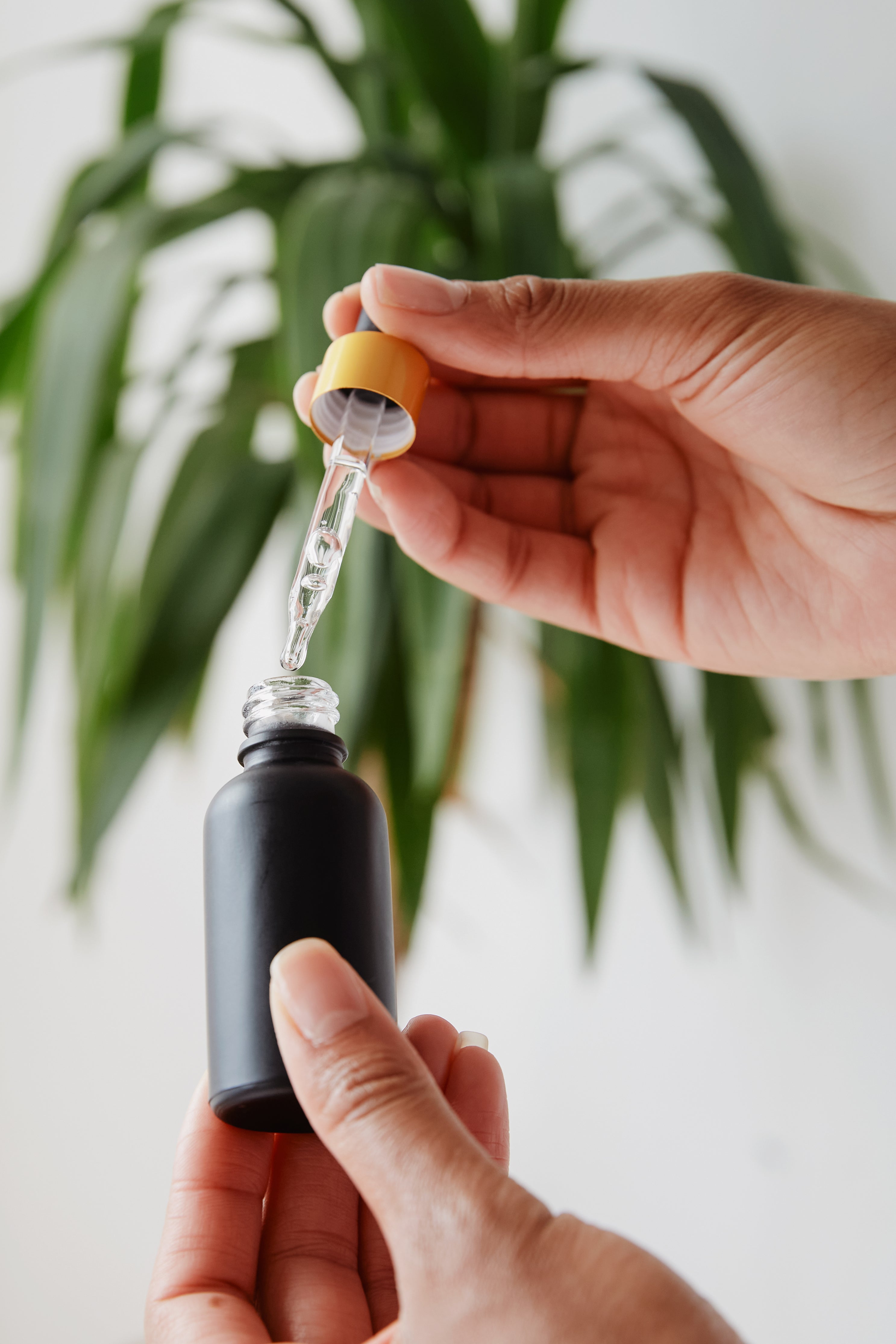 Essential Oils infused with frequecies